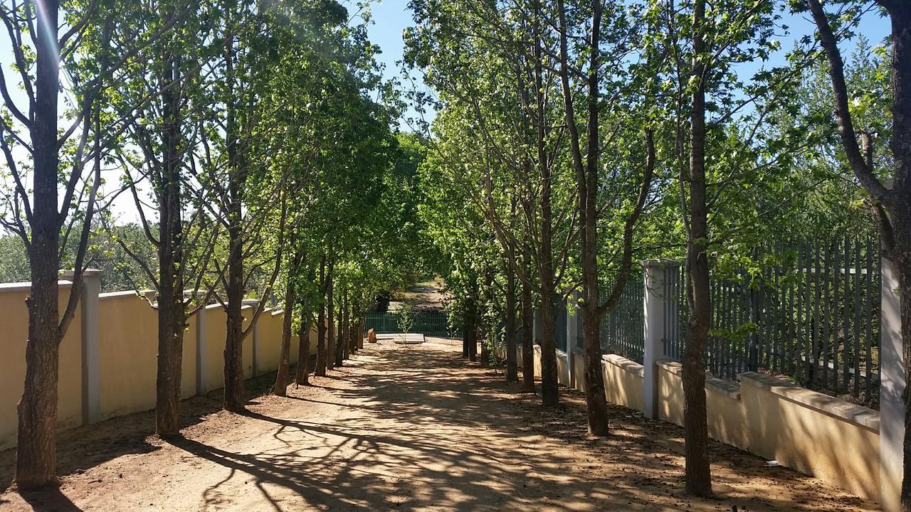 Amberhall Guesthouse Johannesburg Dış mekan fotoğraf