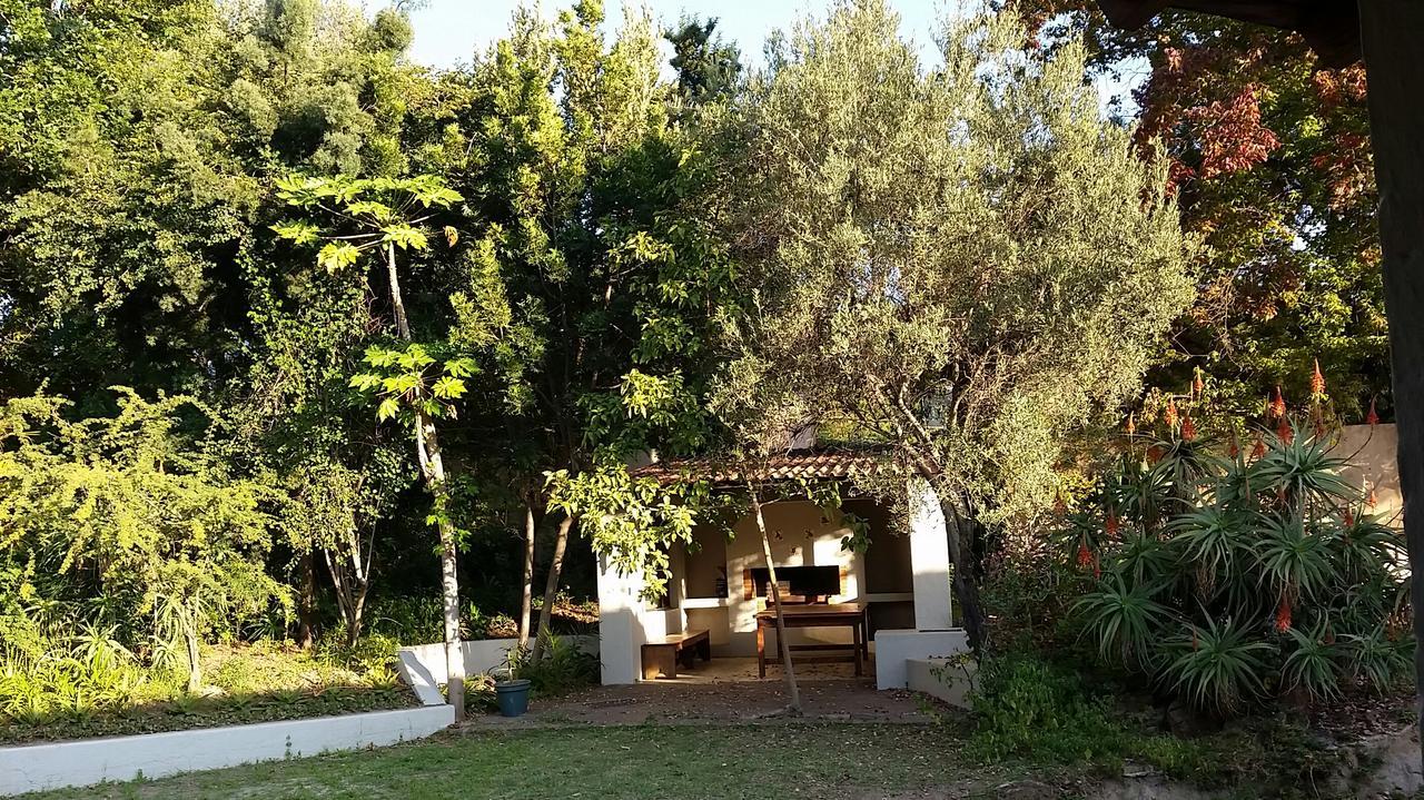 Amberhall Guesthouse Johannesburg Dış mekan fotoğraf