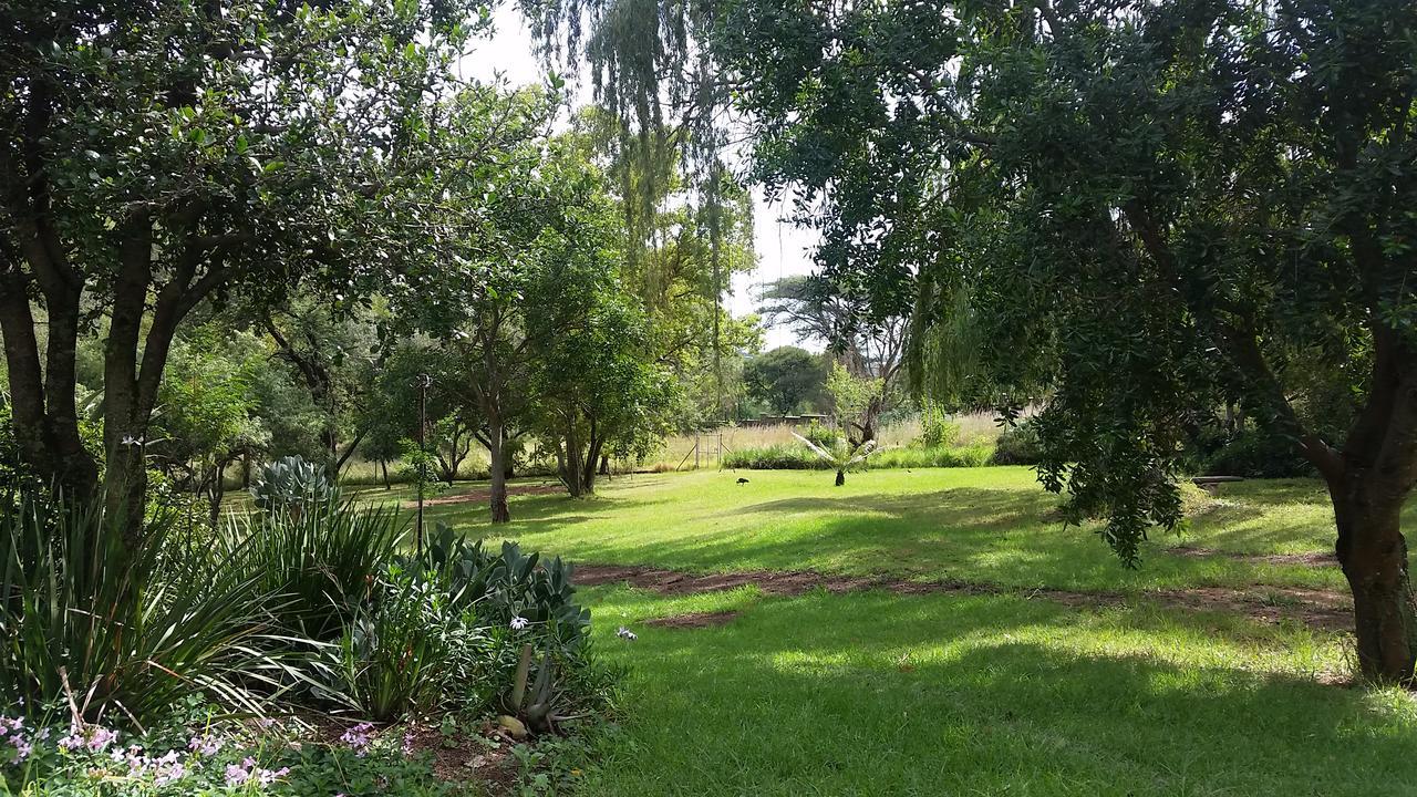Amberhall Guesthouse Johannesburg Dış mekan fotoğraf